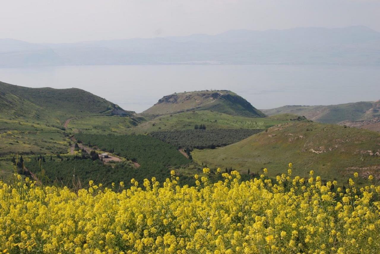 Lakeside Terrace Neot Golan Exterior photo